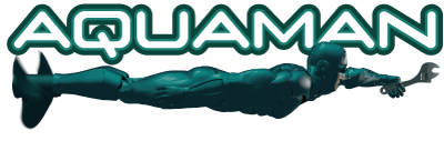 Aquaman Marine Inc