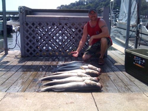 Hillbilly DeLux Fishing Guide Service
