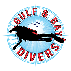 Gulf & Bay Divers