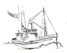 Alaska Marine Surveyors