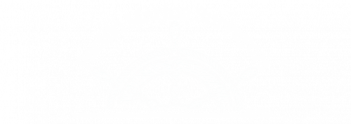 Radio Dispatched Marine Surveyors