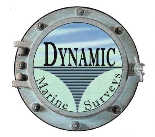 Dynamic Marine Surveys