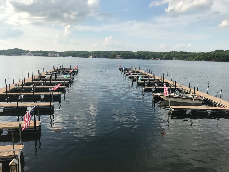 beavers at the dam lake of the ozarks