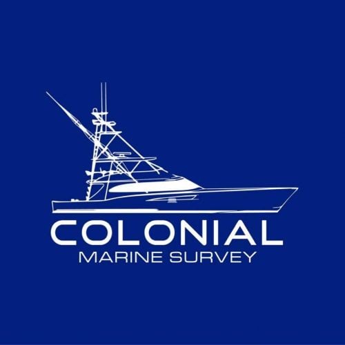 Colonial Marine Survey