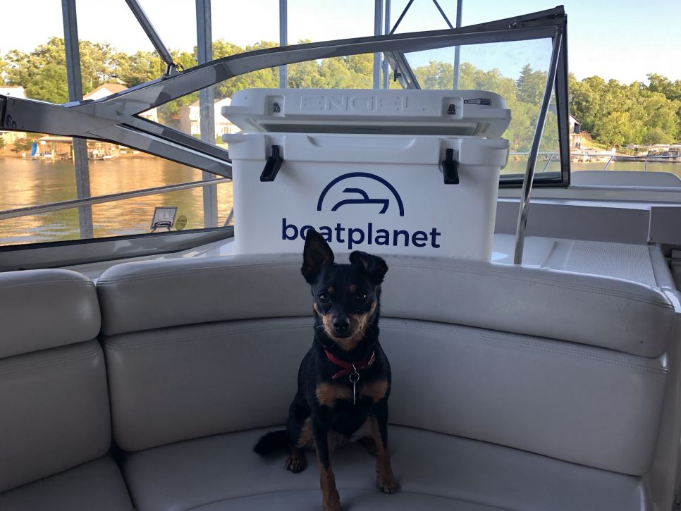 boating with dogs boat planet